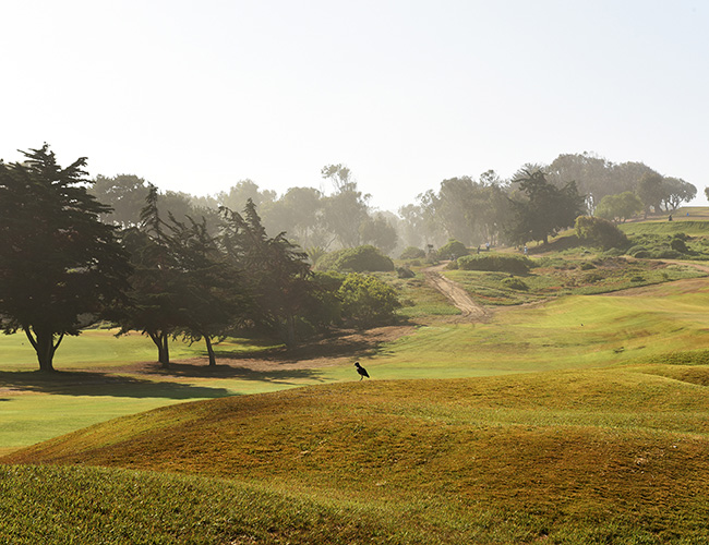 Galería de imágenes - Golf