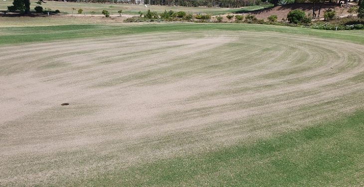 Galería de imágenes - Se inician trabajos de aireación de greens y fairways