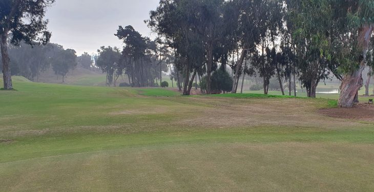 Galería de imágenes - Avance de los trabajos en la cancha de golf