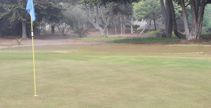 Galería de imágenes - Avance de los trabajos en la cancha de golf