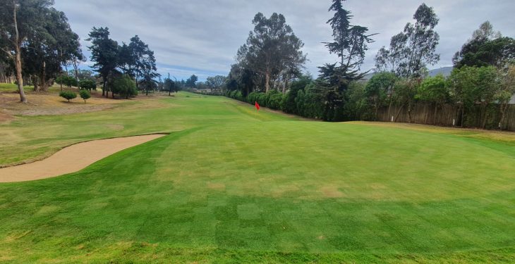 Galería de imágenes - Felices con la abertura del green del hoyo 4