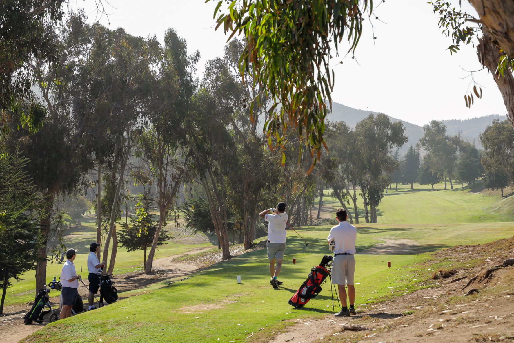 Espléndida Copa Corvina Laguneada