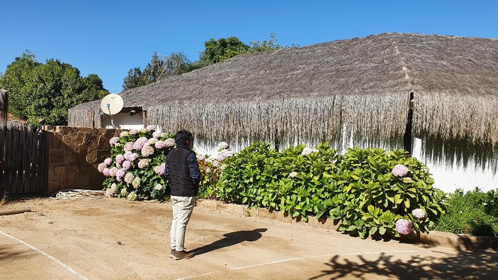 Ampliación sala de palos