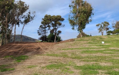 Haciendo más expedito el juego en la cancha de golf