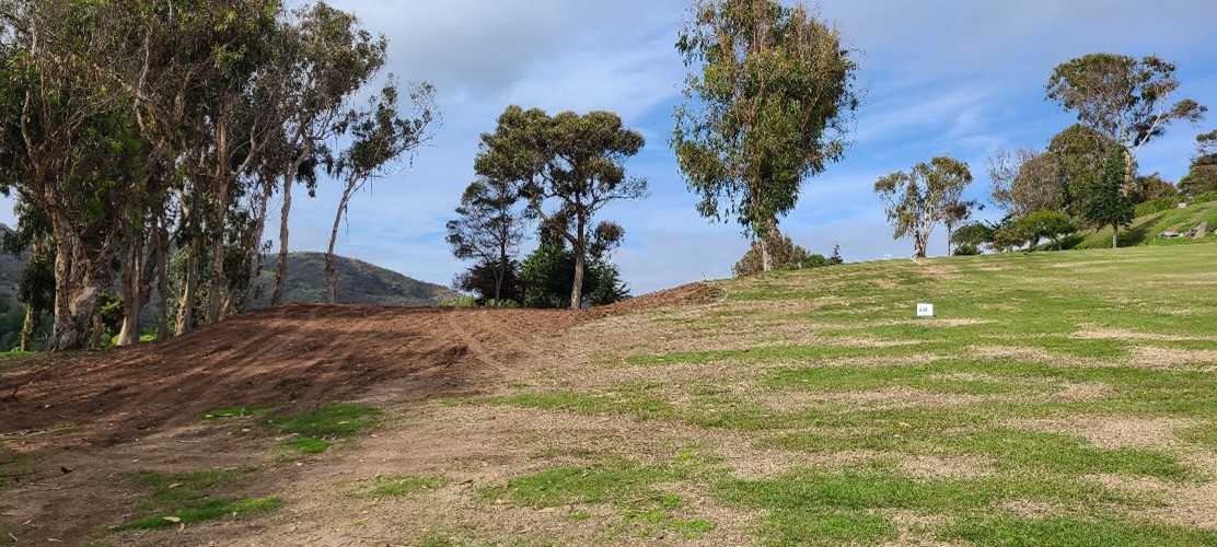 Haciendo más expedito el juego en la cancha de golf