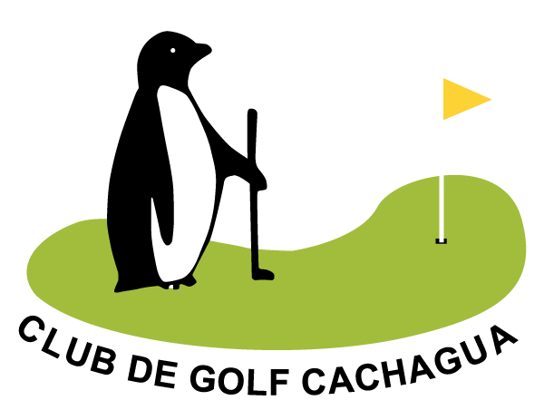 Resumen de acuerdos tomados en sesión de Directorio N°449 realizada el 29 de julio de 2025