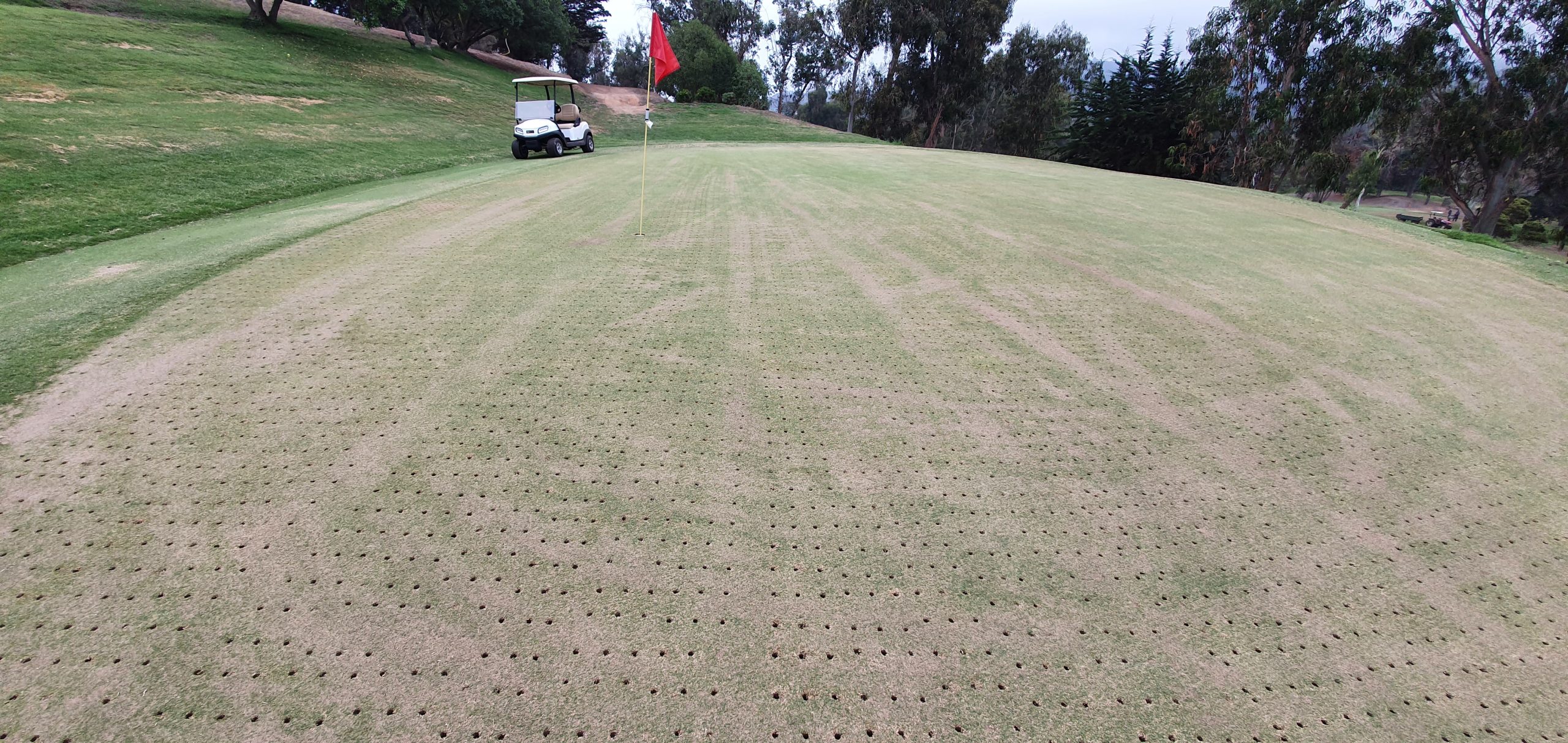 Trabajos en la cancha de Golf