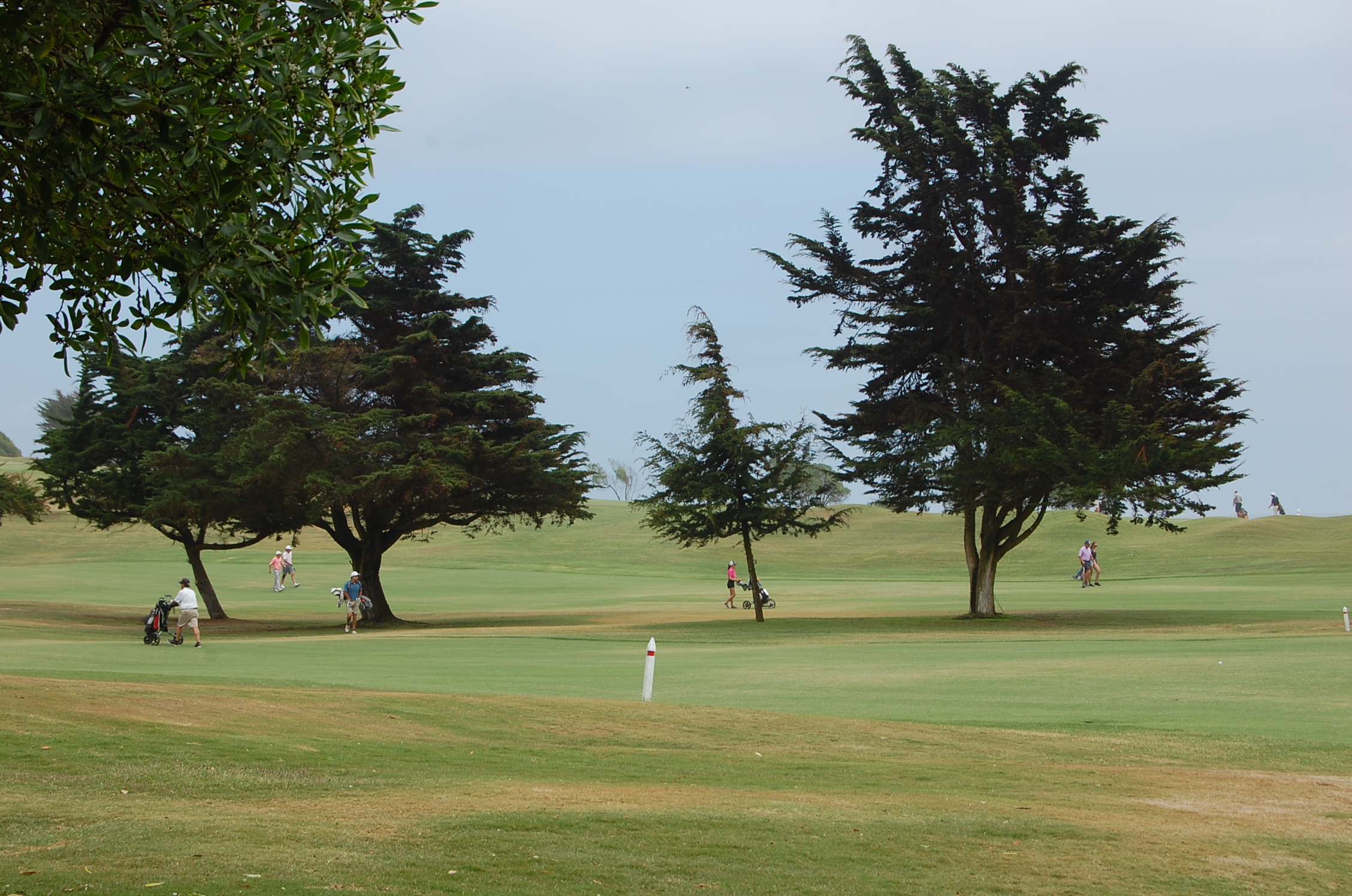 ¡Pre-Abierto Socios, Abierto y ProAm en enero!