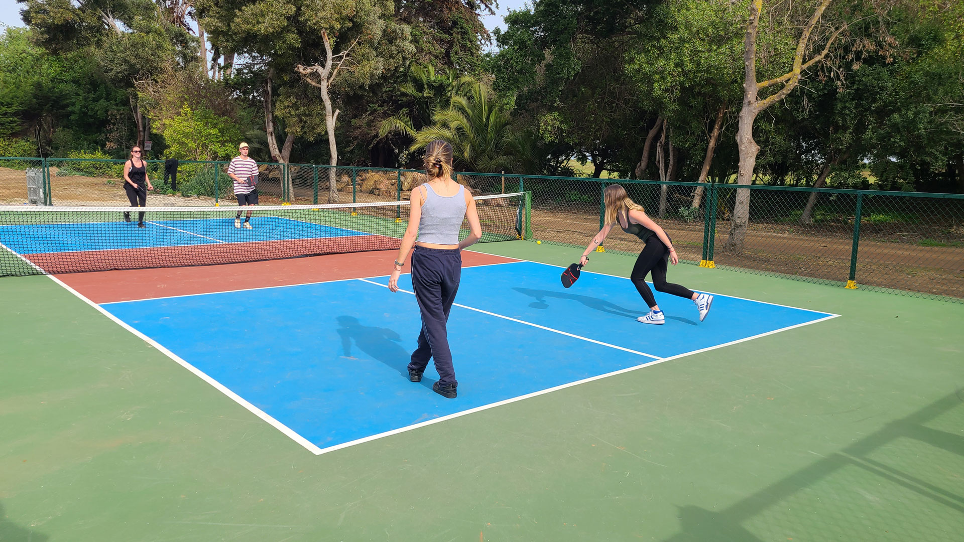 ¡Únete a las Clases Gratuitas de Pickleball desde este fin de semana!