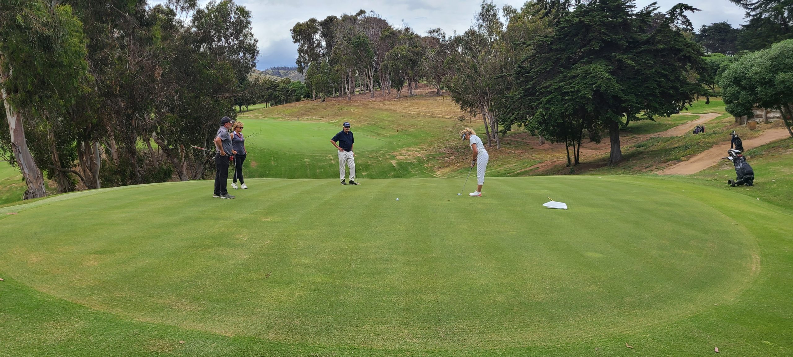 ¡Participa en la Copa Pingüino 2024!